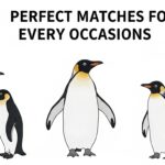 types of penguins: Perfect Matches for Every Occasion